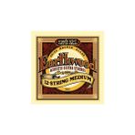 Ernie Ball P02012 12 Telli Akustik Gitar Teli
