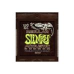 Ernie Ball P02146 Akustik Gitar Teli