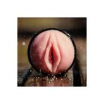 Erox Fleshlight Pink Lady Value Pack Vantuzlu Vajina Mastürbatör-Va259-Cm1