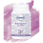 Ersağ Astragalus (Çin Geveni) - 1