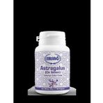 Ersağ Astragalus Çin Geveni