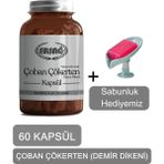 Ersağ Çoban Çökerten (Demir Dikeni) Kapsül + (Sabunluk Hediyemiz) 4016-030 - Aromasız