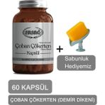 Ersağ Çoban Çökerten (Demir Dikeni) Kapsül + (Sabunluk Hediyemiz) 4016-032 - Aromasız