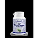 Ersağ Cüce Palmiye (saw Palmetto)
