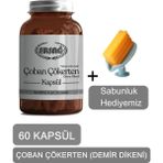 Ersağ Ersag Çoban Çökerten (Demir Dikeni) Kapsül + (Sabunluk Hediyemiz) 4016-031 - Aromasız