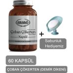 Ersağ Ersag Çoban Çökerten (Demir Dikeni) Kapsül + (Sabunluk Hediyemiz) 4016-033 - Aromasız