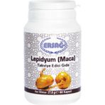 Ersağ Lepıdyum (Maca) - 1