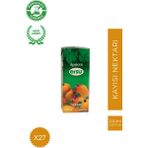 Ersu Kayısı Nektarı 200 ml 27'li