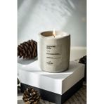 Ersu Store Dekoratif Beton Saksı Içinde Vanilya ve Marshmallow Kokulu Vegan Doğal Terapi Mum - Açık Gri