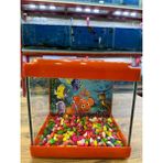 Ertargın Shop Kare Mini Akvaryum 20x20x15 cm Turuncu Renkli Dekoratif Tasarım
