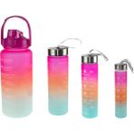 Erzi Matara Dörtlü Set 2000 ml 800 ml 500 ml 280 ml Pembe