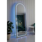 Esenhome DECOR Gold Çerçeveli Mavi Ledli Oval Boy Aynası 60X180CM - Altın