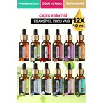 ESENIA 12'lı Set 6 Esansiyel Uçucu Yağı Buhurdanlık Difüzör Esansı Oda Banyo Parfümü 10ml X 12