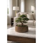 ESG PLUS Cookie 17 cm Eskitme Dekoratif Beton Kaktüs Sukulent ve Bonsai Saksısı – El Yapımı