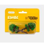 Eshel 5 cm 2 Adet Okaliptüs Ağacı