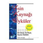 ESIN KAYNAĞI ÖYKÜLER - FERHAN KÖROĞLU