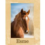 Esme: Chestnut Horse Personalised Notebook (Large)