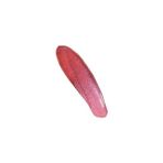 Esmo Home Mood Shimmer Lip Glaze Lipgloss NO:252 Peach Fizz - Renkli Dudak Parlatıcısı - Option-1