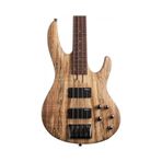 ESP LTD B-204 4 Telli Bas Gitar