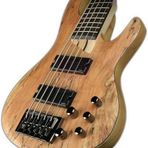 ESP LTD LB205SMNS Bass Gitar