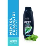Esplendor Erkekler Için Mentol Ferahlığı Nane Özlü Şampuan, 500 ml - Option-1