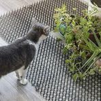 Esplendor Plastik Kedi Kovucu Mat, 10 Adet, 250 cm
