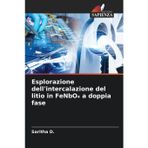 Esplorazione dell'intercalazione del litio in FeNbO¿ a doppia fase
