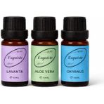 Esquiste 3’lü Premium Esans Seti – Lavanta / Aloe Vera / Okyanus (10 ml x 3)
