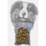Esranın Dünyası 250 gr Kuyruk Disk Avantaj Paketi Köpek Ödül Maması