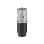 Esranın Dünyası Bosch 1 x Pro Sheet Metal Power Change Plus Delik Testeresi (Paslanmaz Çelik Saclar, Çelik Saclar, Ø 19 Mm, Profesyonel Aksesuar Matkap/tornavida Için)