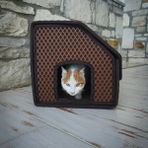 Esranın Dünyası Kahverengi Dış Mekan Yağmura Dayanıklı Kedi Evi