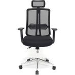 Esranın Dünyası Ofis Koltuğu - Ergonomik Makam Koltuğu