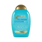 Esranın Dünyası Sülfatsız Nemlendirici Saç Kremi, 385 ml Argan Yağı Içerir