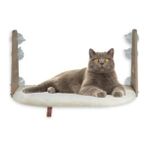 Esranın Dünyası Vantuzlu Kedi Cam Yatağı - Krem