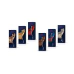 Esranın Dünyası Wella Koleston Perfect Me 3/00 Koyu Kahve Sıcak 60 ml