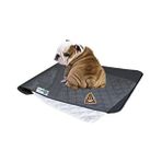 Esranın Dünyası Yıkanabilir 3 Katmanlı Köpek Çiş Pedi Seti (90CM x 60CM)