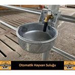 Eşref Şekerli Otomatik Büyükbaş Hayvan Suluğu