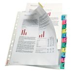 Esselte Poşet Dosya Ayraçlı 12SY 414170 10 Adet
