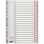 Esselte SLT-100107 1-20 Rakamlı Seperatör