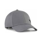 Essentıals Elevated Metal Puma Cat Beyzbol Şapkası 027154 02 Gri