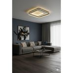 Esslight Silva 50 cm Plafonyer LED Avize 3 Renk Işık Modlu (Beyaz / Sarı / Gün Işığı)