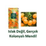 Est Kolonyalı Mendil-bodrum 150'li