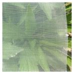 Esta Nailon Kuş ağı, 3,0 x 15 m, 60 ağ Beyaz, bahçe ve kuşlara karşı koruma Meyveler, sebzeler, seralar, tavuklar, köpekler ve kediler için