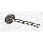 ESTAS 33123 Eksantrik Mili Db-Dişlisi 5410500301 Euro 2/3 2000-Em Motor Tıp:501