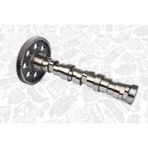 Estaş 33123 Estas 33123 Eksantrik Mili Db-Dişlisi 5410500301 Euro 2/3 2000-EM Motor TIP:501