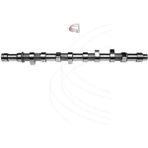 ESTAS Estaş 40023 Estas 40023 Eksantrik Mili Boxer / Jumper 2.5 Td 8V Dj5