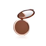 Estee Lauder Bronze Goddess Powder Bronzer 04 Pudra