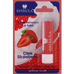 Estella Dudak Koruyucu Lip Balm Çilek 15121997
