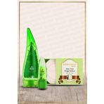 Esterya Plus Doğal Aloe Vera Seti
