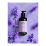 Estiva The Silver Shampoo 500ml - Sarı, Gri, Beyaz Saçlar Için Turunculaşma Karşıtı Şampuan